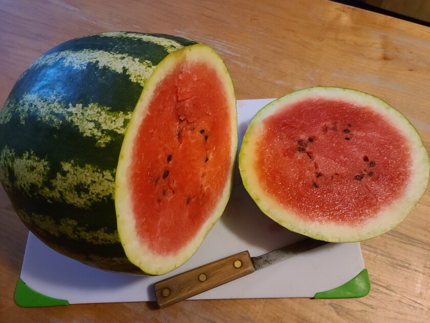 watermelon 1.jpg